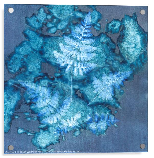 Blue Ferns Acrylic by Eileen Wilkinson ARPS EFIAP