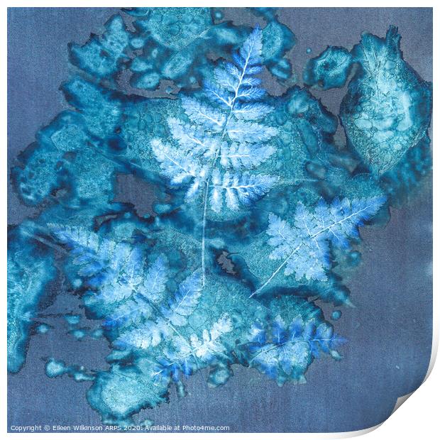 Blue Ferns Print by Eileen Wilkinson ARPS EFIAP