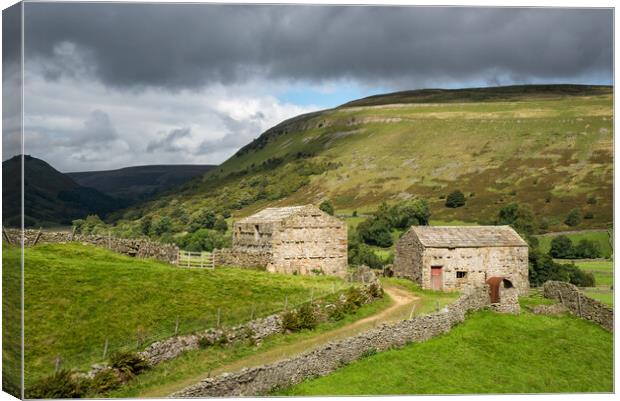 Old stone barns in Swaledale, North Yorkshire Canvas Print by Andrew Kearton
