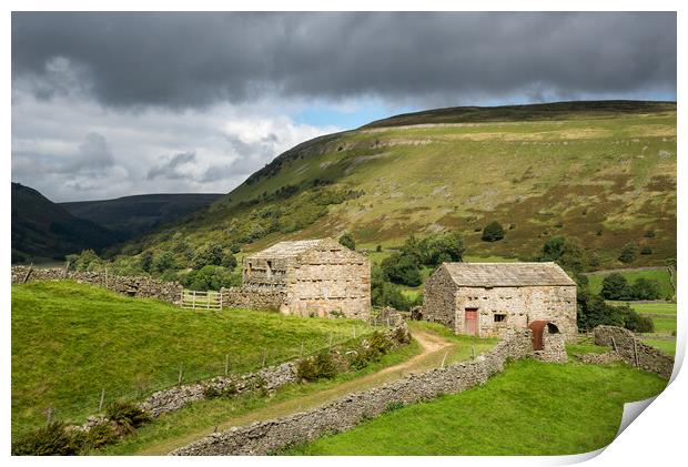Old stone barns in Swaledale, North Yorkshire Print by Andrew Kearton