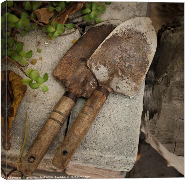 Rustic garden trowels Canvas Print by Greg Marshall