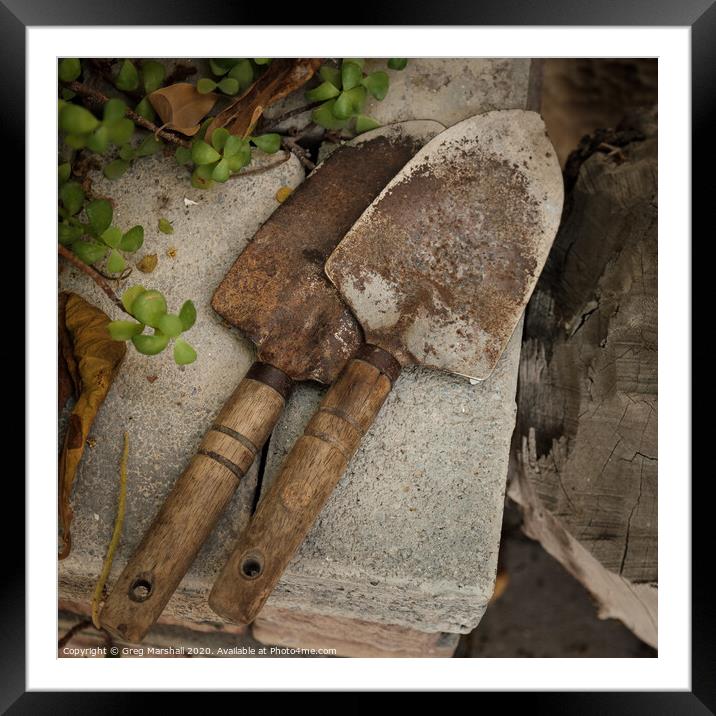 Rustic garden trowels Framed Mounted Print by Greg Marshall