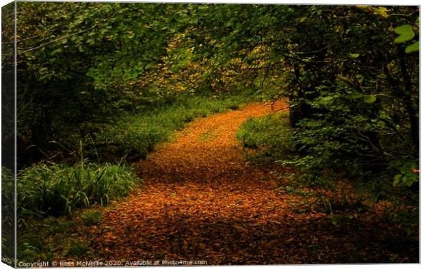 The Enchanting Autumn Trail Canvas Print by Ross McNeillie
