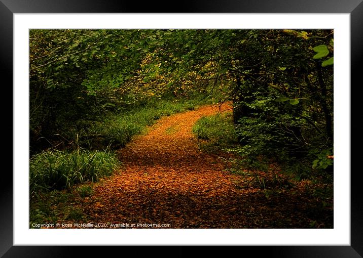 The Enchanting Autumn Trail Framed Mounted Print by Ross McNeillie