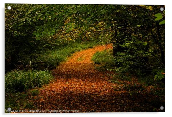 The Enchanting Autumn Trail Acrylic by Ross McNeillie