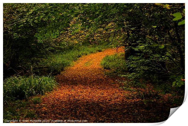 The Enchanting Autumn Trail Print by Ross McNeillie