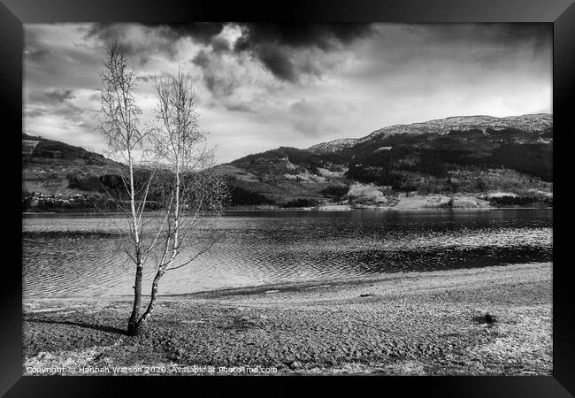 Lone Tree by the Lake Framed Print by Hannah Watson