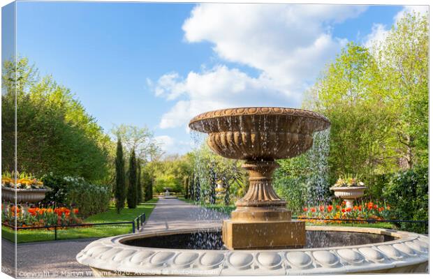 Regents Park, London Canvas Print by Martyn Williams