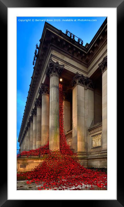 Weeping Window Poppies at St George's Hall 2015 Framed Mounted Print by Bernard Rose Photography