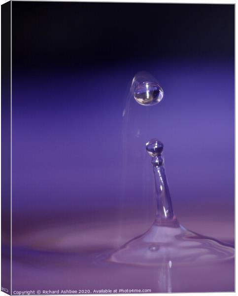 Water droplet Canvas Print by Richard Ashbee