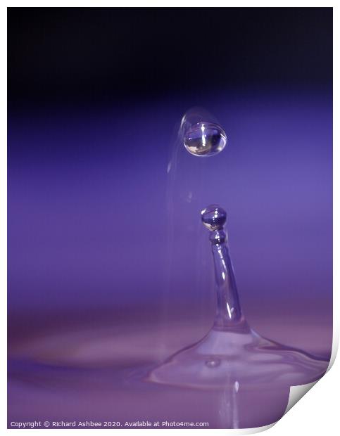 Water droplet Print by Richard Ashbee