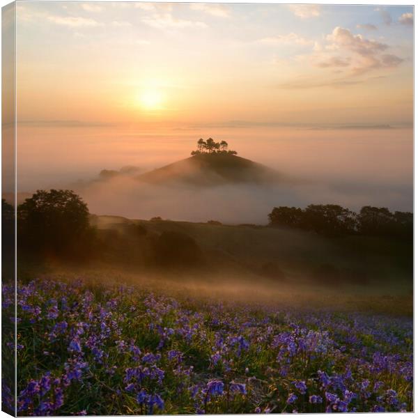 Colmer's Hill Canvas Print by David Neighbour