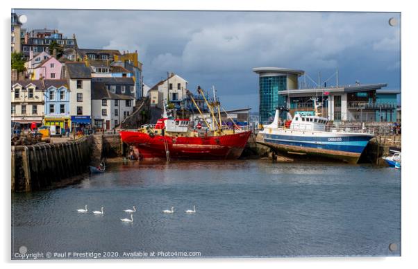 Swan Flotilla, Brixham Harbour Acrylic by Paul F Prestidge