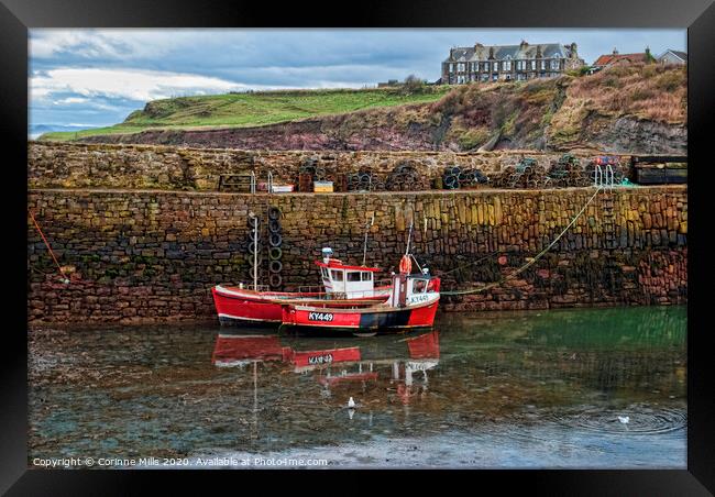 KYLIE S - KY 449 at Crail Harbour Framed Print by Corinne Mills
