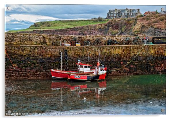 KYLIE S - KY 449 at Crail Harbour Acrylic by Corinne Mills
