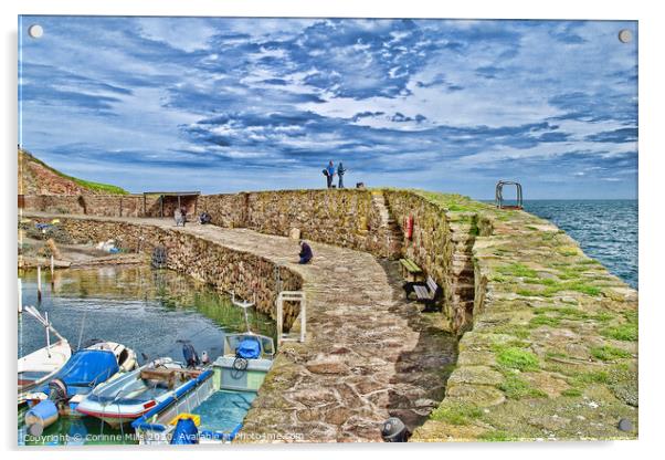 Crail Harbour  Acrylic by Corinne Mills