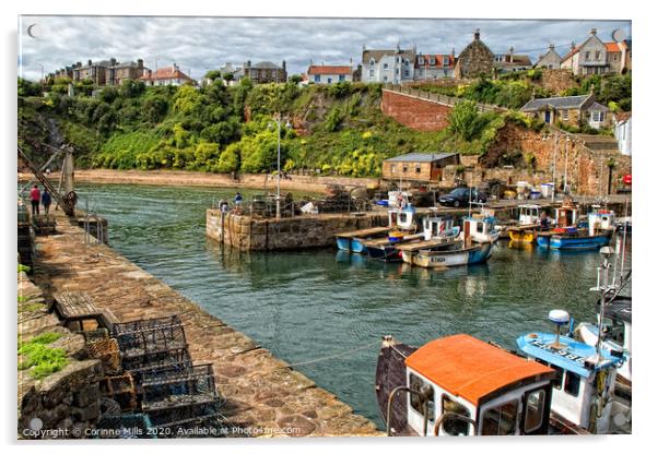 Crail Harbour Acrylic by Corinne Mills