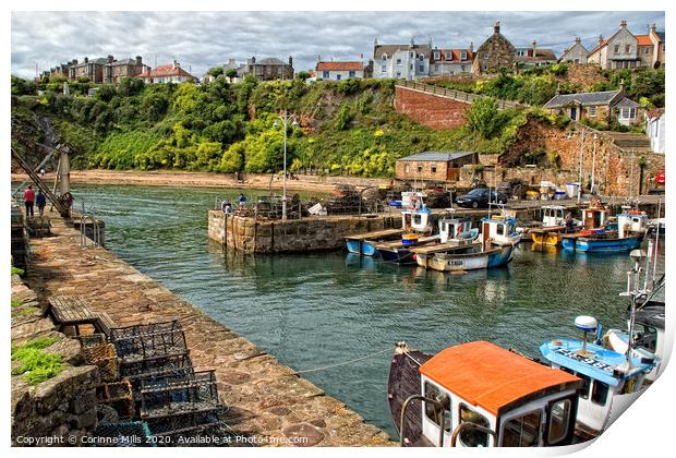 Crail Harbour Print by Corinne Mills