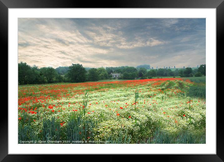 Poppy and Chamomile Field  Framed Mounted Print by Alison Chambers
