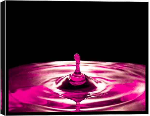 Pink Water Droplet Canvas Print by paulette hurley