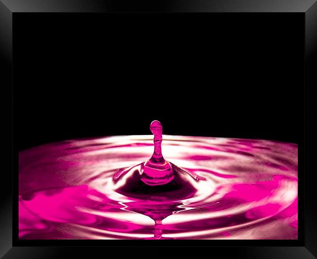 Pink Water Droplet Framed Print by paulette hurley