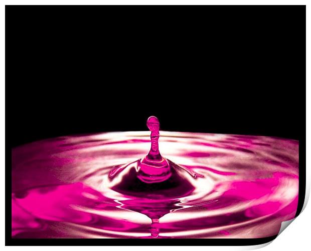 Pink Water Droplet Print by paulette hurley