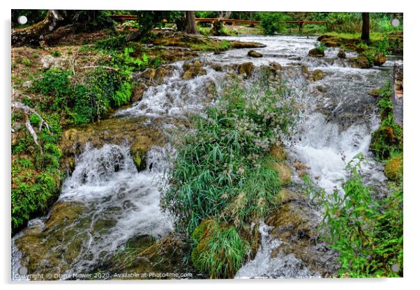  Krka Waterfalls and Rapids Croatia Acrylic by Diana Mower