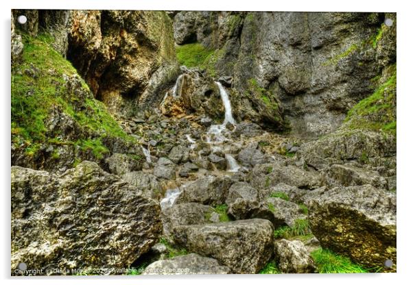 Gordale Scar waterfall Yorkshire Acrylic by Diana Mower