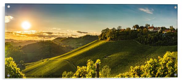 Sunset panorama of wine street on Slovenia, Austria border in Styria. Fields of grapevines. Acrylic by Przemek Iciak