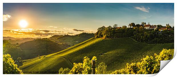 Sunset panorama of wine street on Slovenia, Austria border in Styria. Fields of grapevines. Print by Przemek Iciak