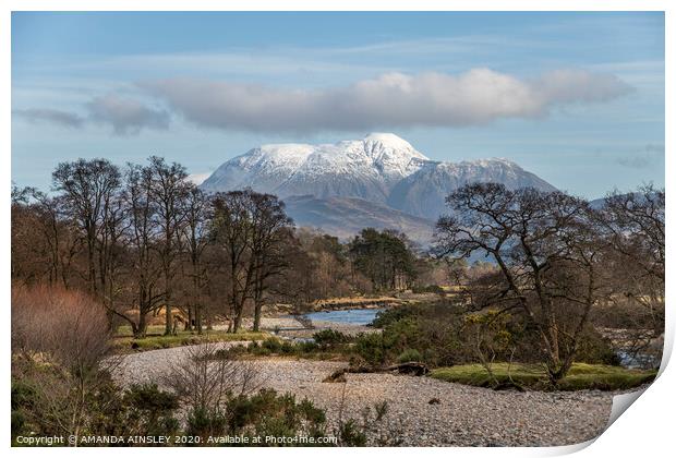 Majestic Ben Nevis rises in Spring Print by AMANDA AINSLEY