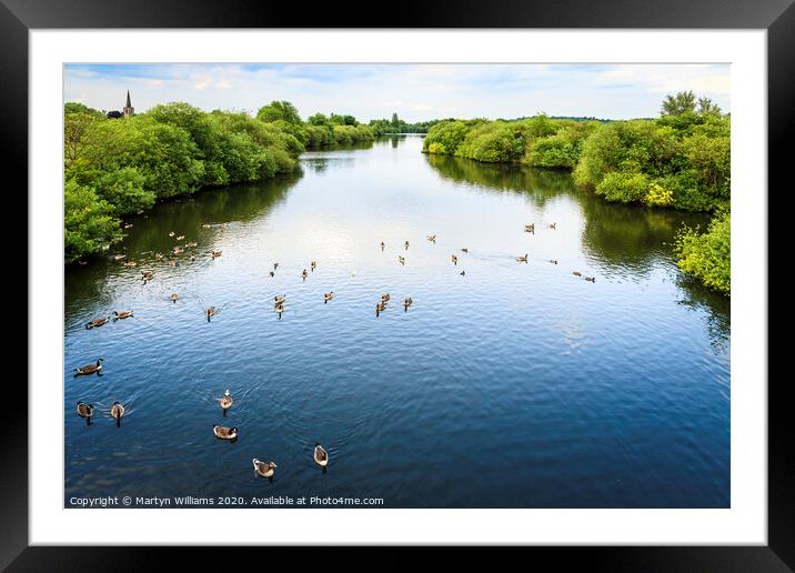 Attenborough Nature Reserve Framed Mounted Print by Martyn Williams