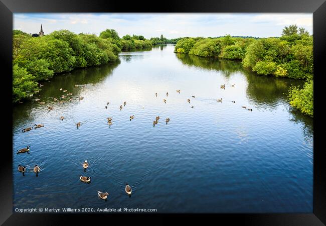 Attenborough Nature Reserve Framed Print by Martyn Williams