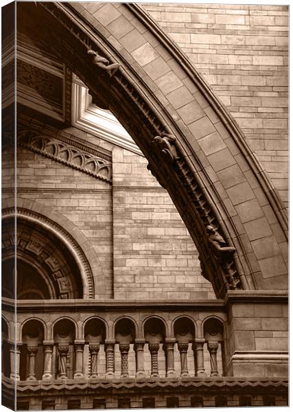 Natural History Museum Kensington toned Canvas Print by David French
