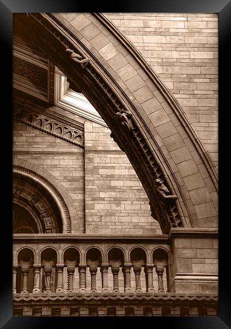 Natural History Museum Kensington toned Framed Print by David French