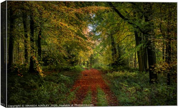 Vibrant Autumn Woodland Canvas Print by AMANDA AINSLEY