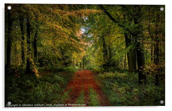 Vibrant Autumn Woodland Acrylic by AMANDA AINSLEY