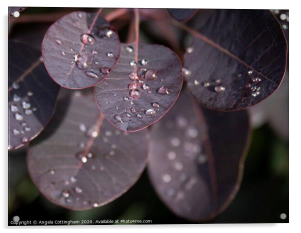 Wet Leaves Acrylic by Angela Cottingham