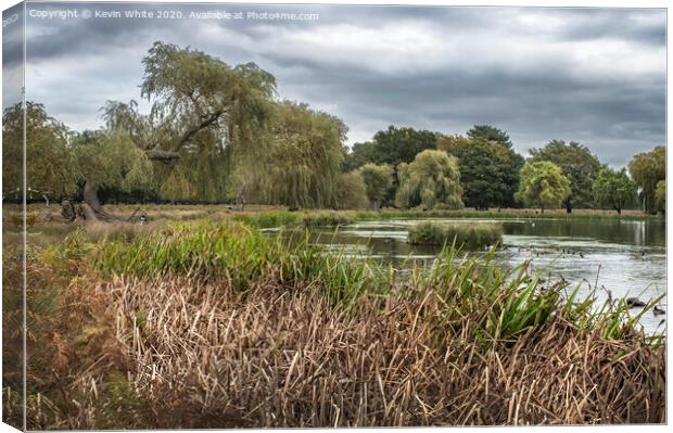 Bushy Park cloudy morning Canvas Print by Kevin White