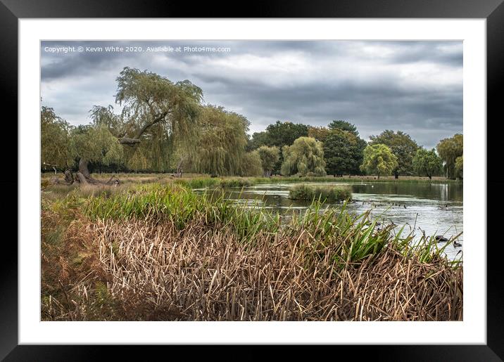 Bushy Park cloudy morning Framed Mounted Print by Kevin White