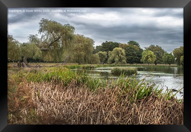 Bushy Park cloudy morning Framed Print by Kevin White