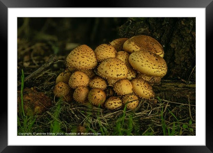 Enchanted Forest Fungi Framed Mounted Print by andrew blakey