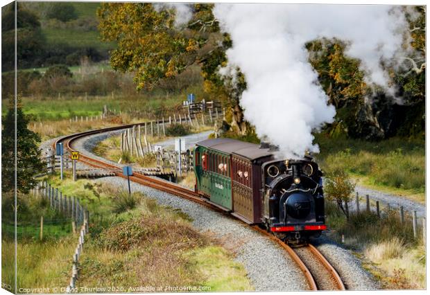 Welsh Pony on the Welsh Highland Railway Canvas Print by David Thurlow