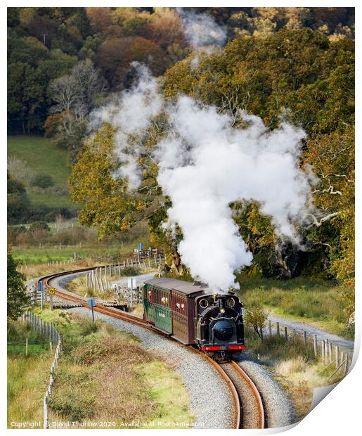 Welsh Pony on the Welsh Highland Railway Print by David Thurlow