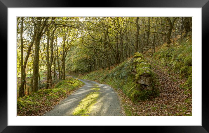 Autumn Lane Framed Mounted Print by David Thurlow