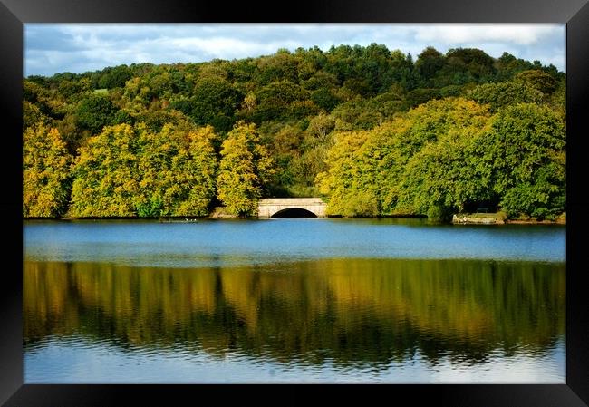 The bridge to calmness  Framed Print by Rachael Hood