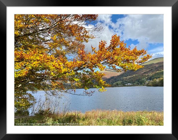 Autumn at Grasmere Lake District Framed Mounted Print by Ailsa Darragh