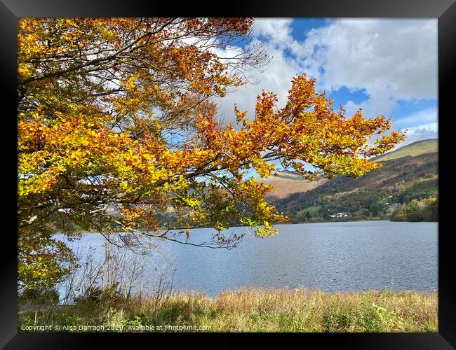 Autumn at Grasmere Lake District Framed Print by Ailsa Darragh