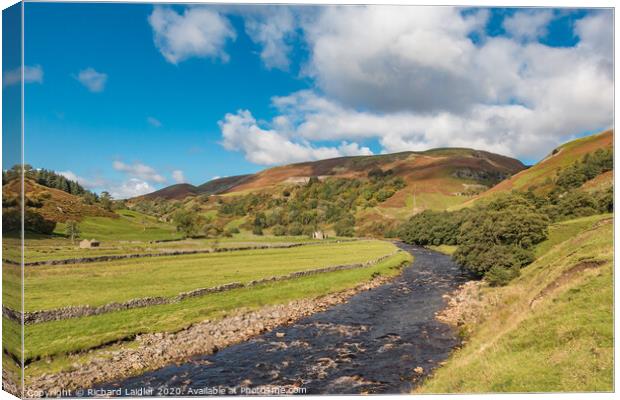 Autumn in Upper Swaledale 1 Canvas Print by Richard Laidler