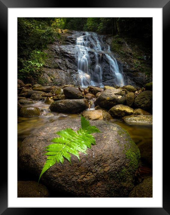 Jungle Waterfall Framed Mounted Print by Jan Venter